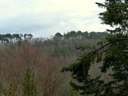 LACAPELLE CABANAC 008