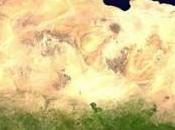 vaches pour reverdir déserts