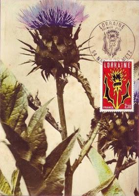 Qui s'y frotte s'y pique (251)