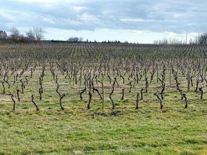 LACAPELLE CABANAC 004