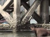 fabuleuse histoire Panyee