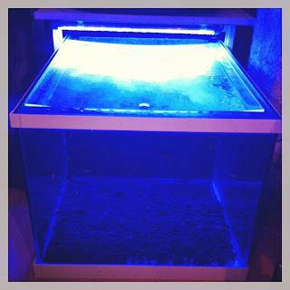 Dans mon téléphone..