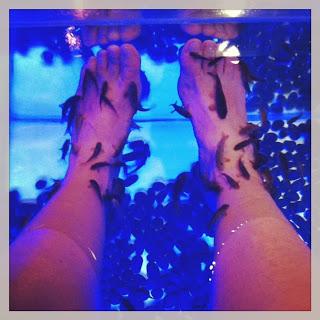 Dans mon téléphone..