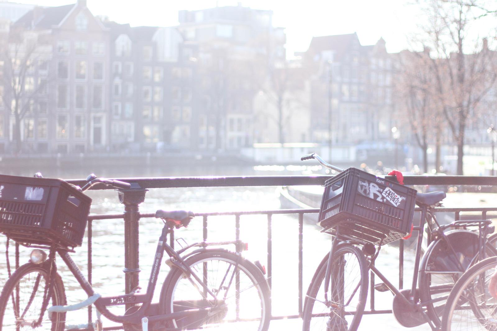 Image and video hosting by TinyPic