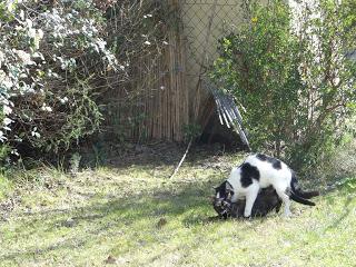 C'est le printemps ! (et la nature...)