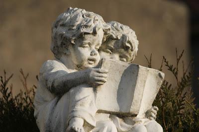 Récolte du dimanche