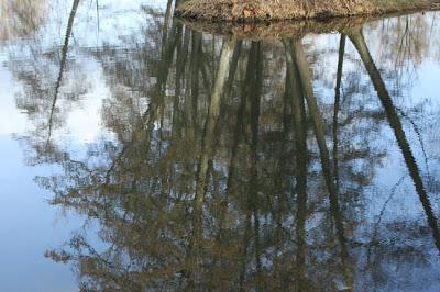 Récolte du dimanche