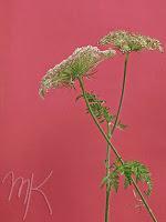 MINIMAL MANIAC #6 MINIMAL MANIAC #6