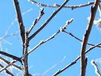 MINIMAL MANIAC #6 MINIMAL MANIAC #6