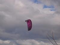 MINIMAL MANIAC #6 MINIMAL MANIAC #6