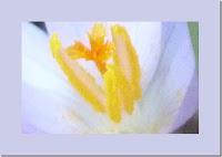 MINIMAL MANIAC #6 MINIMAL MANIAC #6