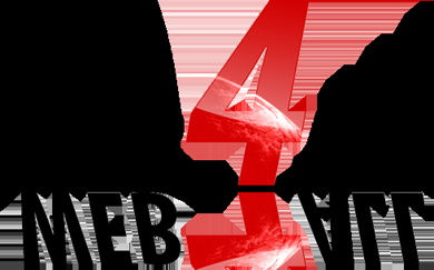 Web4all : l’hébergeur associatif évolue en très bon w4a