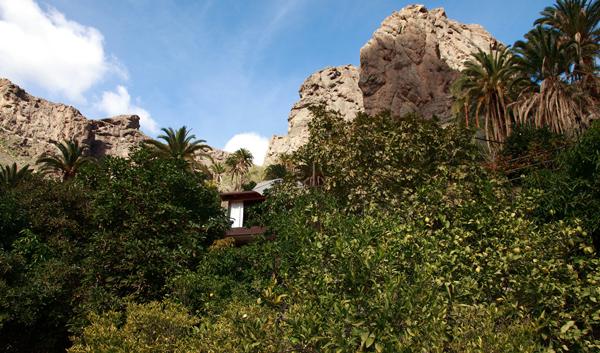 Rénovation d’une finca aux Canaries