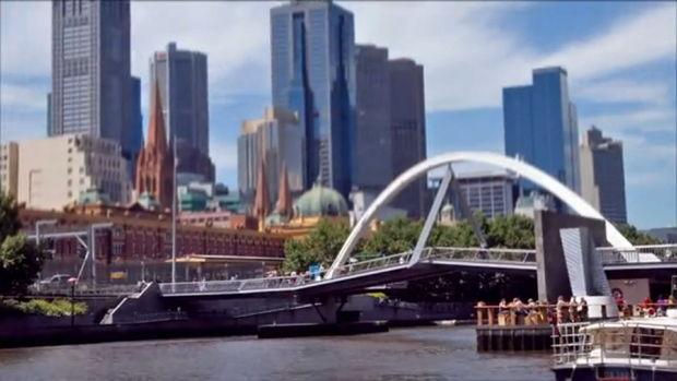 A Year Through My Window