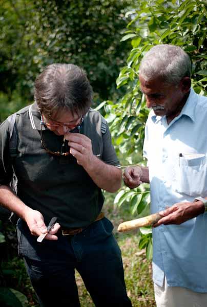 Beendhi_Cannelle_Paysan_Olivier Roellinger_100129-1010015