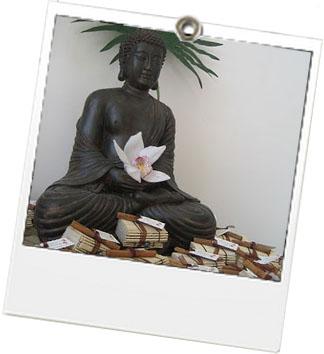 La To Do Green de la semaine – du 11 au 17 mars