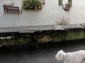 Parfois tout dans démesure...