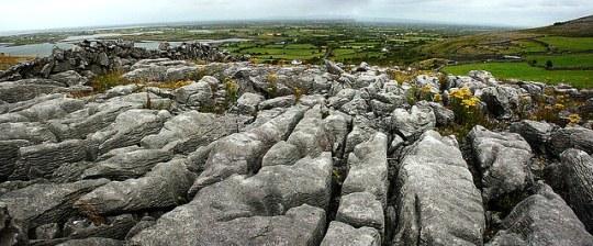 The Burren 5 Awesome Things in Ireland You Won’t See Anywhere Else