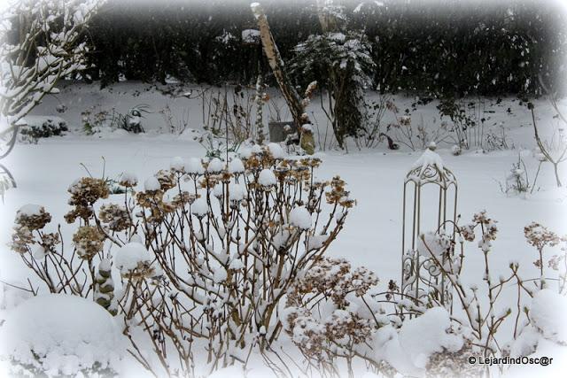 Décider de faire un tour de jardin, se dire que les Hellé...