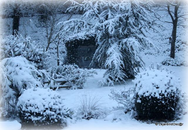 Décider de faire un tour de jardin, se dire que les Hellé...