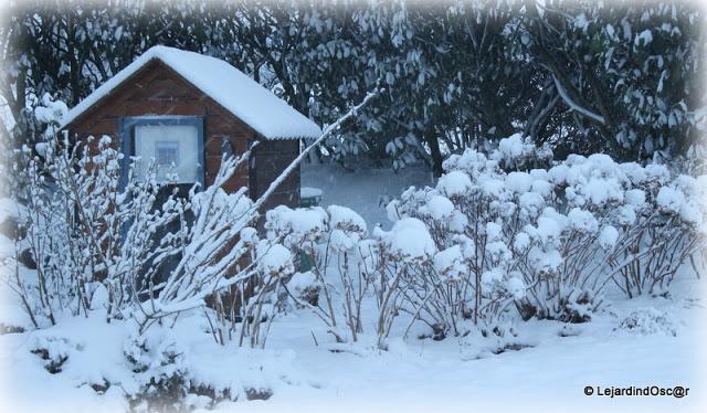 Décider de faire un tour de jardin, se dire que les Hellé...
