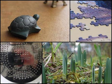 Février en photos {projet 365 - 2013}