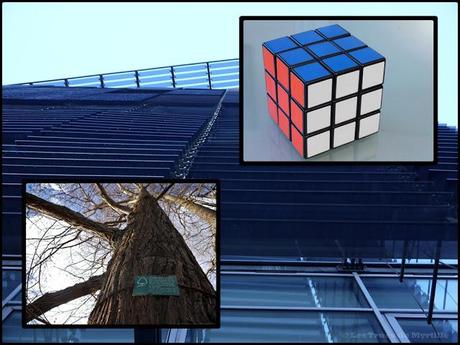 Février en photos {projet 365 - 2013}