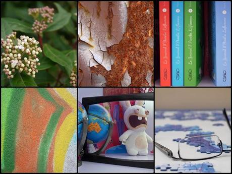 Février en photos {projet 365 - 2013}