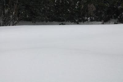 La neige ne veut pas nous quitter cette année...