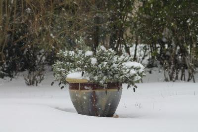 La neige ne veut pas nous quitter cette année...