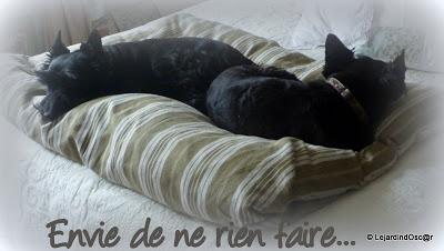 Ça ne s'arrange pas... Pas de circulation, pas de travail...