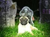 L'iPhone sera-t-il mort mars?