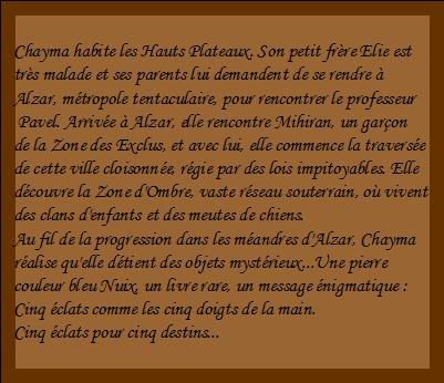 Pierre obscure, tome  1 : La traversée d'Alzar
