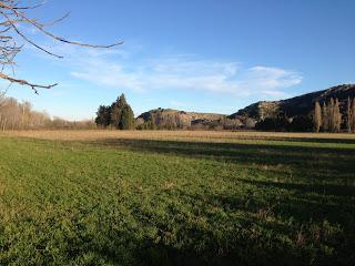 Le printemps, et pourtant...