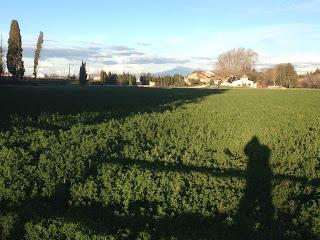 Le printemps, et pourtant...