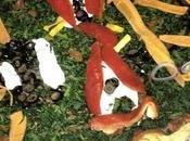 Tortues Ninjas rêvaient, Paint Your Pizza fait