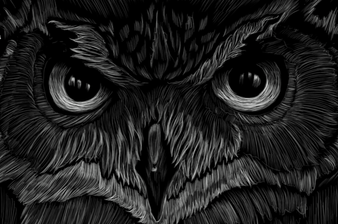 3684_344653792295345_633009605_n