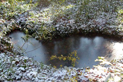 mare 13 mars 2013 002.jpg