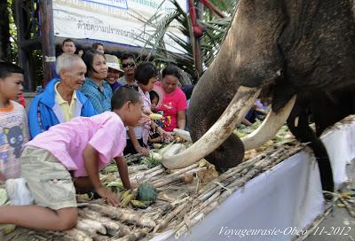 Thaïlande : journée nationale des éléphants [HD]