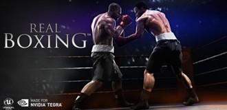 Real-Boxing-595x289