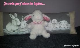 My rabbit is happy !