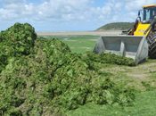 Nucleaire contre tous masse