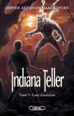 Indiana Teller, Tome 3 de Sophie Audouin-Mamikonian