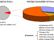Nucleaire contre tous masse réalité actuelle