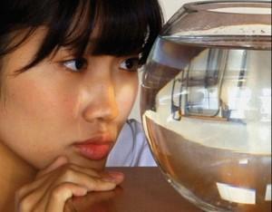 Festival du cinéma asiatique de Deauville 2013 : Critiques Compétition (part 1)