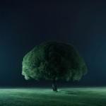 Les captures de l’instant de Mikko Lagerstedt
