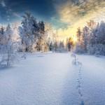 Les captures de l’instant de Mikko Lagerstedt