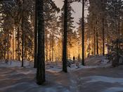 captures l’instant Mikko Lagerstedt