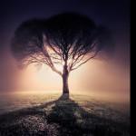 Les captures de l’instant de Mikko Lagerstedt