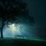 Les captures de l’instant de Mikko Lagerstedt